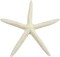 Starfish 15 Medium White Finger Starfish 4-6" for Crafts and Decor